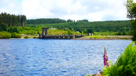 scenic alwen reservoir lake viewpoint gentle calming countryside breeze across water