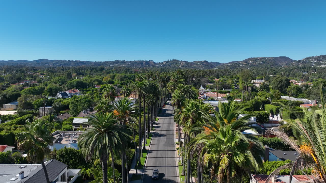 Aerial view rising over a palm tree lined street in Beverly hills, Los Angeles