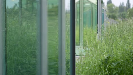 Lush-greenery-reflected-in-the-glass-of-a-bus-shelter-on-a-cloudy-day