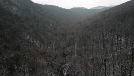 vista de avión no tripulado sobre el frío bosque de invierno