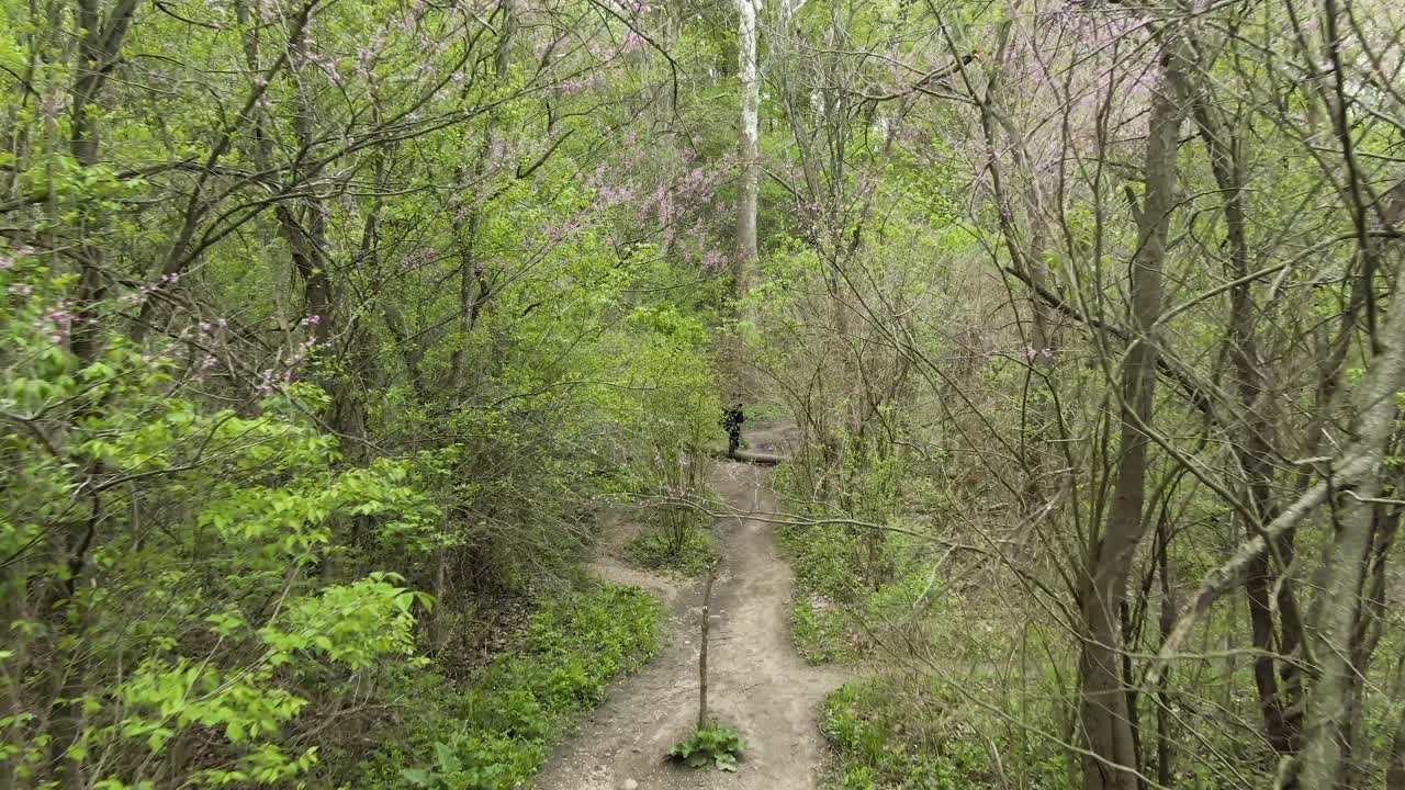 나무와 덤불 사이의 매우 좁은 길에서 울창한 나뭇잎 사이를 걷고 있는 젊은 여성