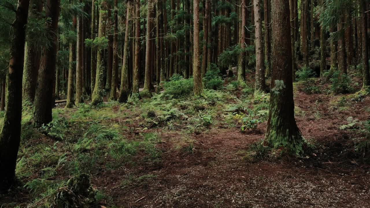 isla en portugal tanta naturaleza y mar