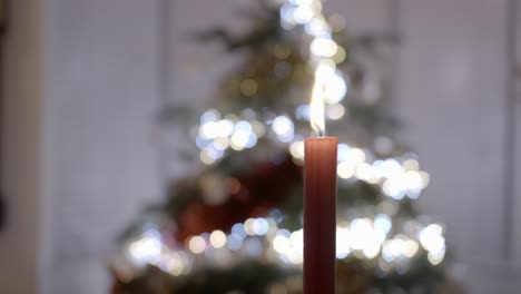 red candle in front of a christmas tree