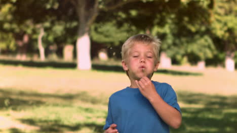 blonde child in slow motion blowing on a dandelion