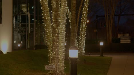 twinkling lights on trees at night