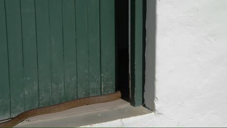 a highly venomous cobra slithers through an open door to a public restroom in search of shade