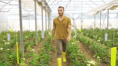 El-Jardinero-Camina-Por-El-Invernadero-De-Flores.