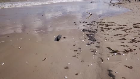 walking down the beach, dog's point of view