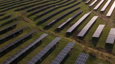 numerous photovoltaic solar panels standing on a lush green meadow on a sunny evening