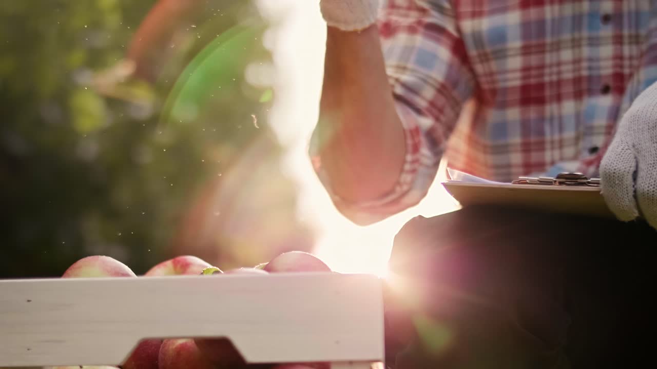 과일 농부 가 사과 를 통제 하는 손잡이 비디오 쇼