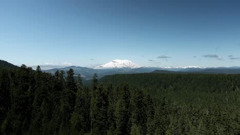 flying low over a lush dense evergreen forest, mount saint helens, washington, aerial