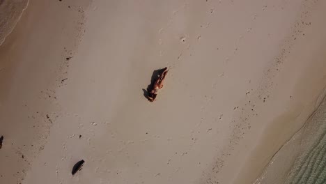 girar imágenes de una niña acostada en un banco de arena