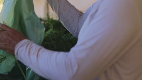 los trabajadores preparan contenedores de verduras para su distribución en una granja de verduras