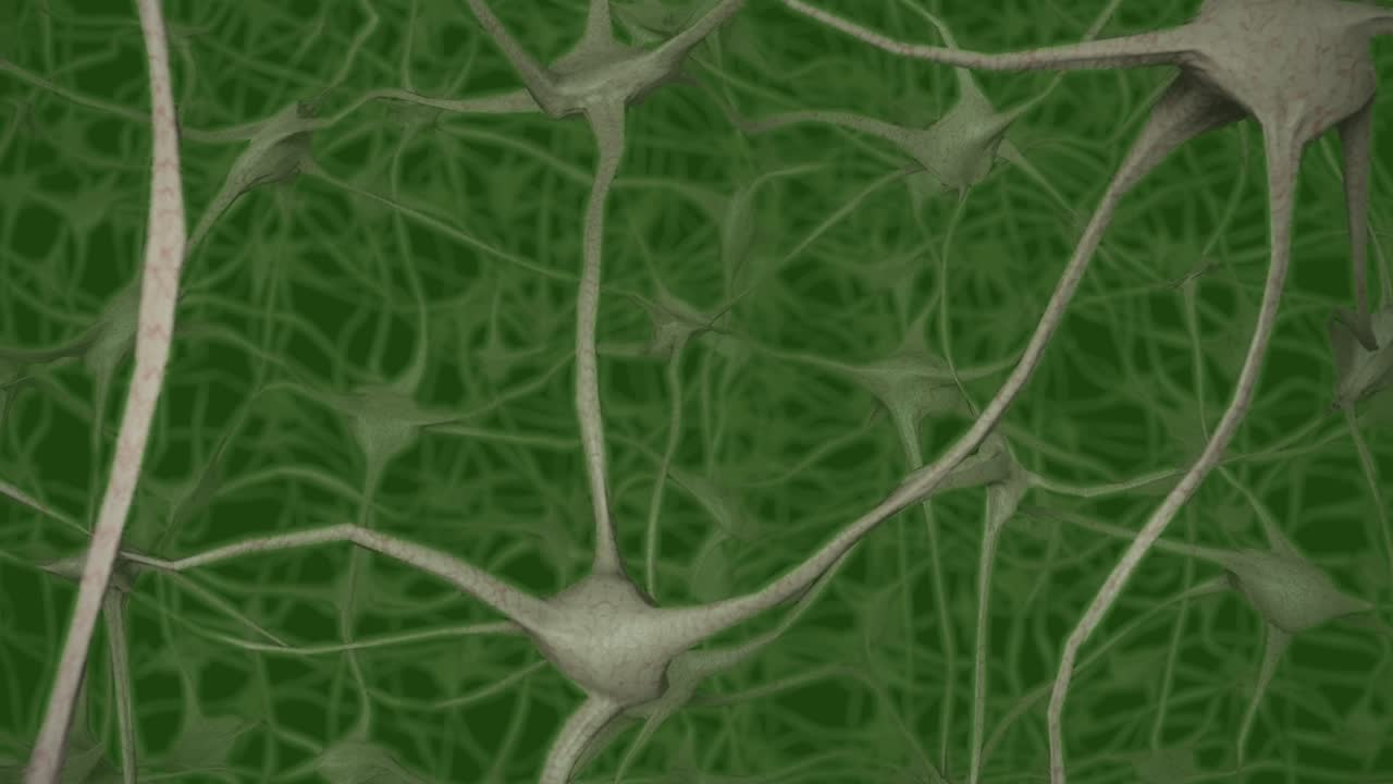 neuronas cerebro mente axón pensamiento red neuronal dendrita célula ciencia de la salud 4k