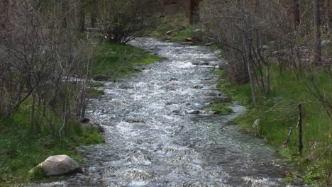 panup of a flowing mountain stream 1