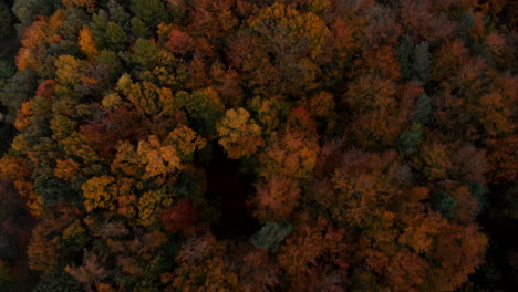 Imágenes-Aéreas-Sobre-árboles-De-Otoño,-Bosque-Cuando-Las-Hojas-Cambian-De-Color,-Vista-Superior-Del-Bosque-De-Otoño