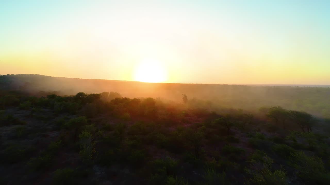 humo bruma niebla brillante amarillo naranja de la puesta del sol, los pájaros vuelan por, aéreo de bajo vuelo empujar en dolly