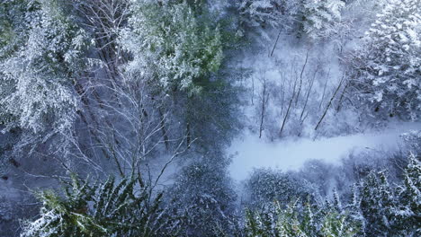 Eine-Drohnenperspektive-Fängt-Die-Verschneite-Landschaft-Eines-Waldes-Im-Mittleren-Westen-Nach-Einem-Heftigen-Schneesturm-Ein