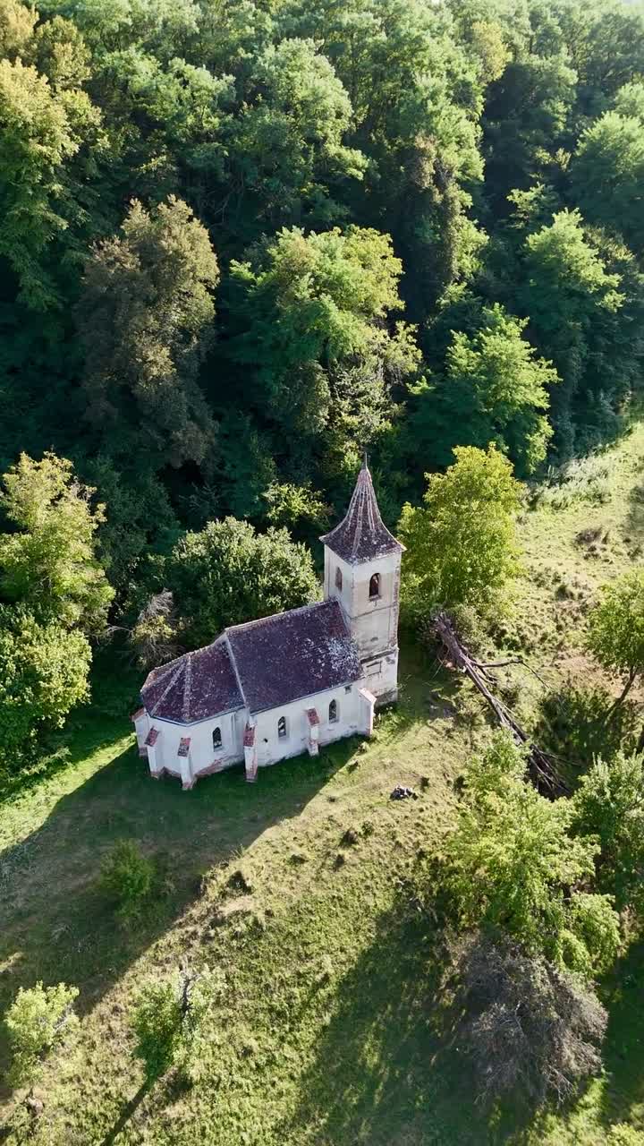 Vertical video of a church in the middle of a forest at golden hour.
