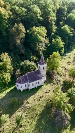 vertical video of a church in the middle of a forest at golden hour.