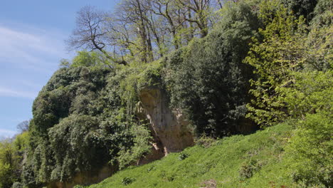 wide shot of limestone overhang at limestone gorge with vegetation, creswell crags