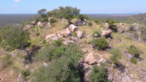 rocky hilltop surrounded by green trees and grass in the drakensberg mountains under sunny skies