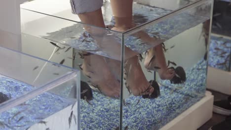 woman's feet pedicure treatment on a thailandese spa