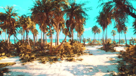 isla desierta con palmeras en la playa