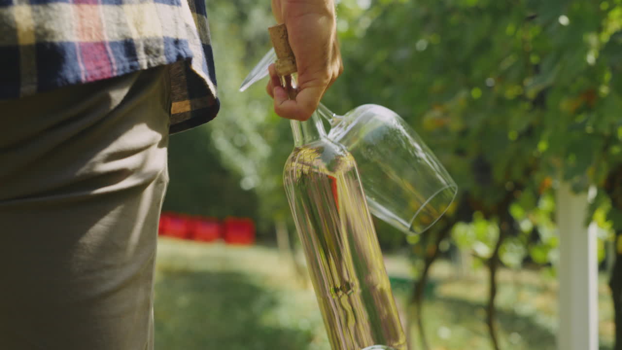 Man carrying wine bottle and glasses in vineyard