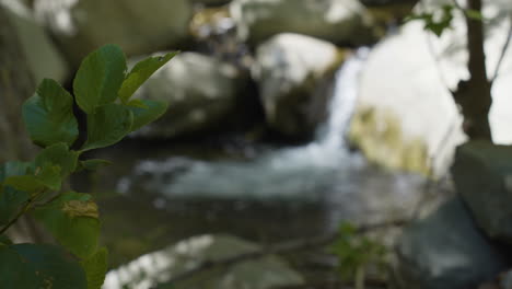 panning-shot-racking-focus-from-a-branch-to-small-cascade-located-in-Santa-Paula-Punch-Bowls-Southern-California