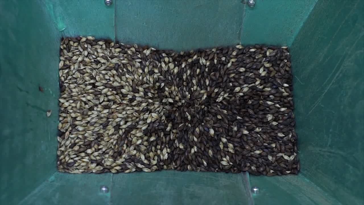 맥주 양조 공장 내부의 롤러에서 곡물을 분쇄할 때 몰트 밀링 장비 내부의 클로즈업 보기