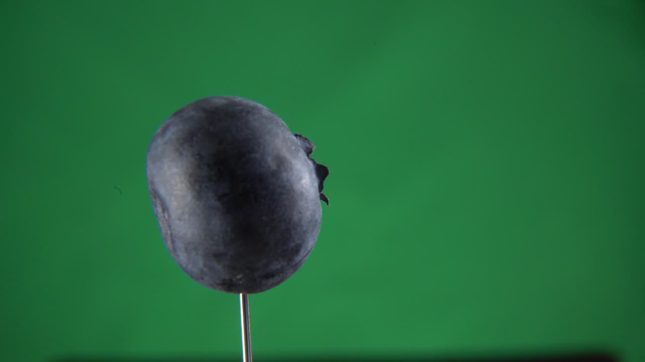 голубая ягода вращается с петлей на зеленом экране для хроматической клавиши