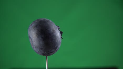 blueberry rotating with loop on green screen for chroma key