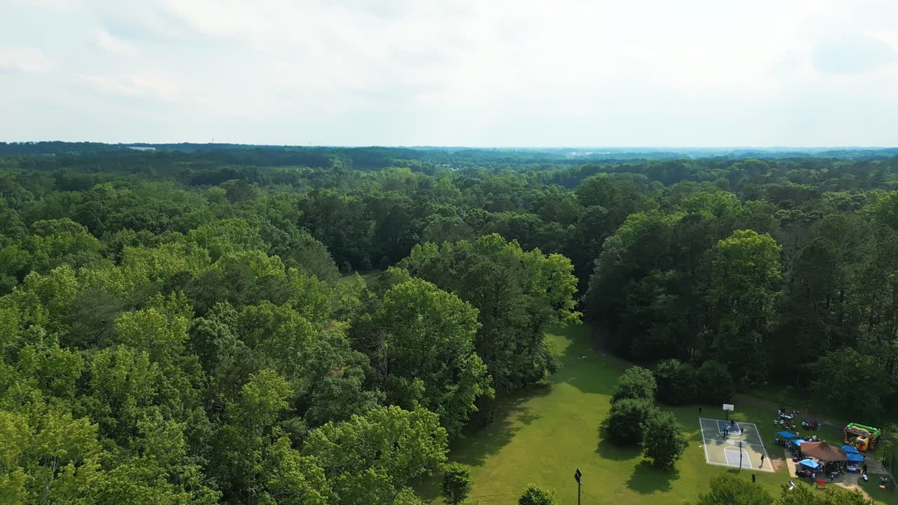Aerial View Of Verdant Trees In The Forest In Summer