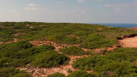 aerial: the landscape around cabo de são vicente in the algarve, portugal