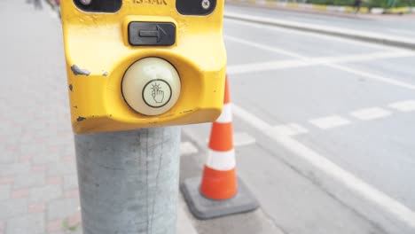 pedestrian crossing button