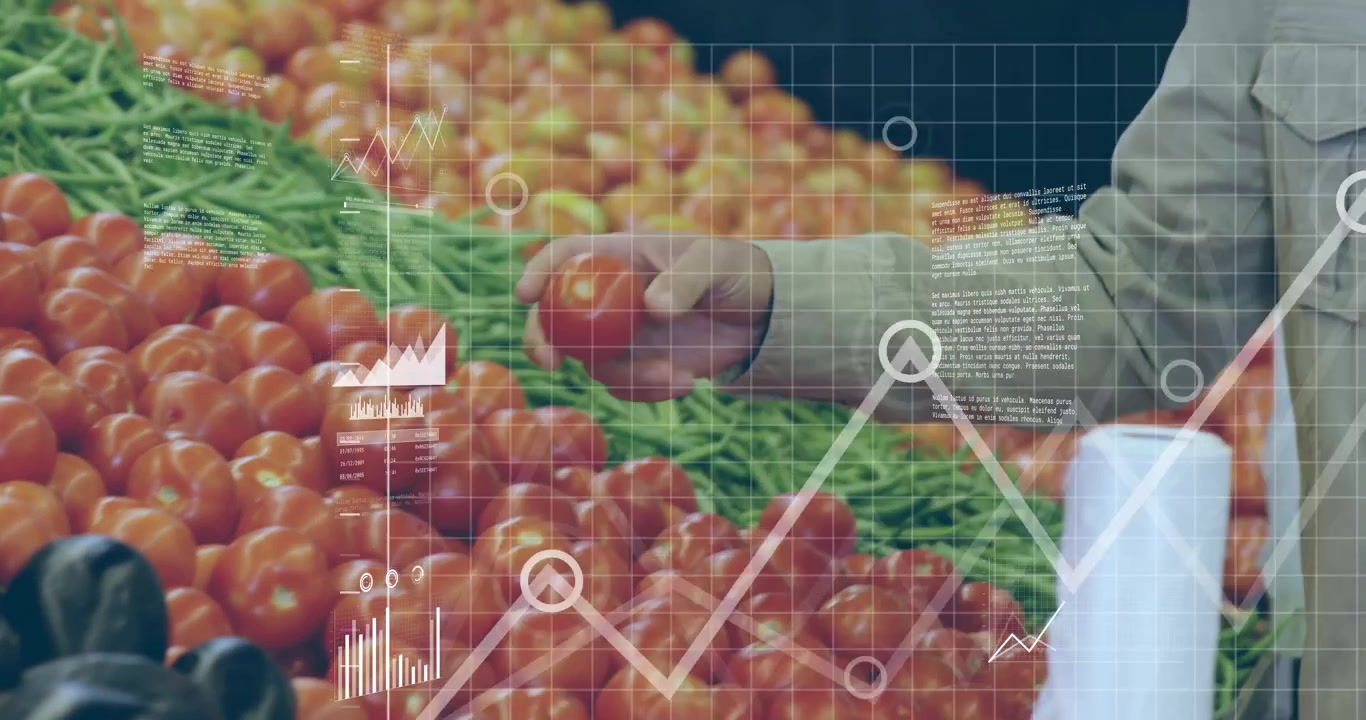 Hombre recogiendo tomates y verificando la calidad de los productos en el mercado, con superposiciones de datos apareciendo a su alrededor.