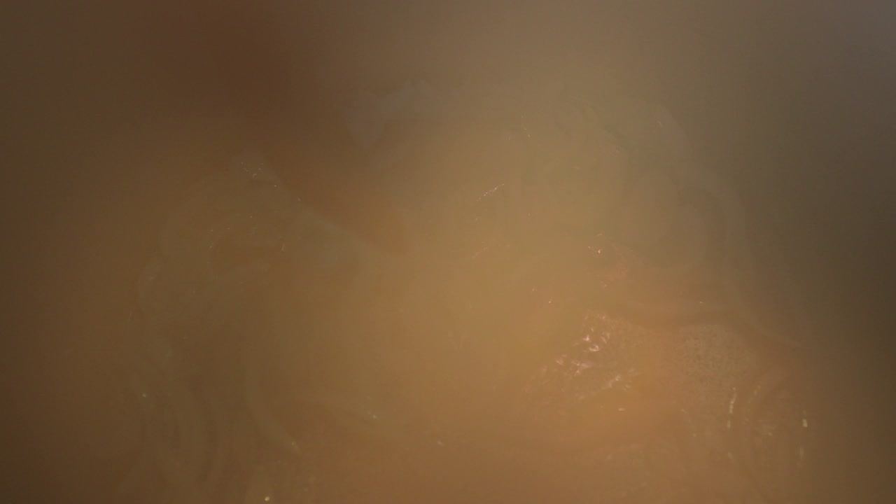 cebollas hirviendo en una sartén