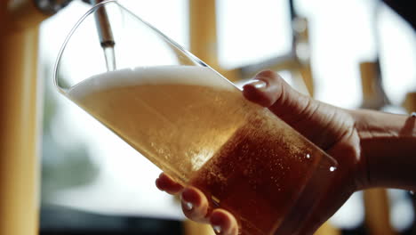 female bartender filling beer glass from tap