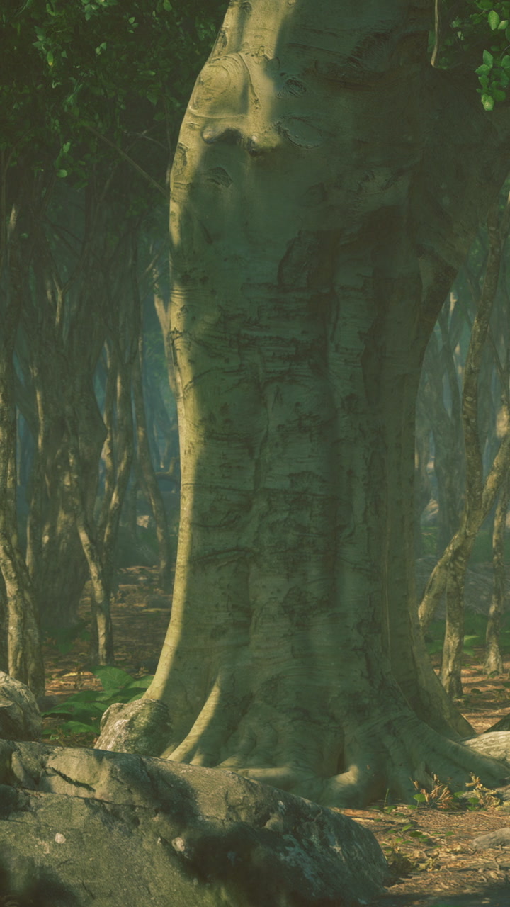 Forest scene with large tree trunk and surrounding foliage in the woods
