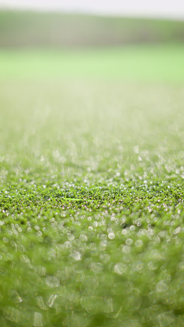 Close up of a golf club hitting a ball on the course. Vertical