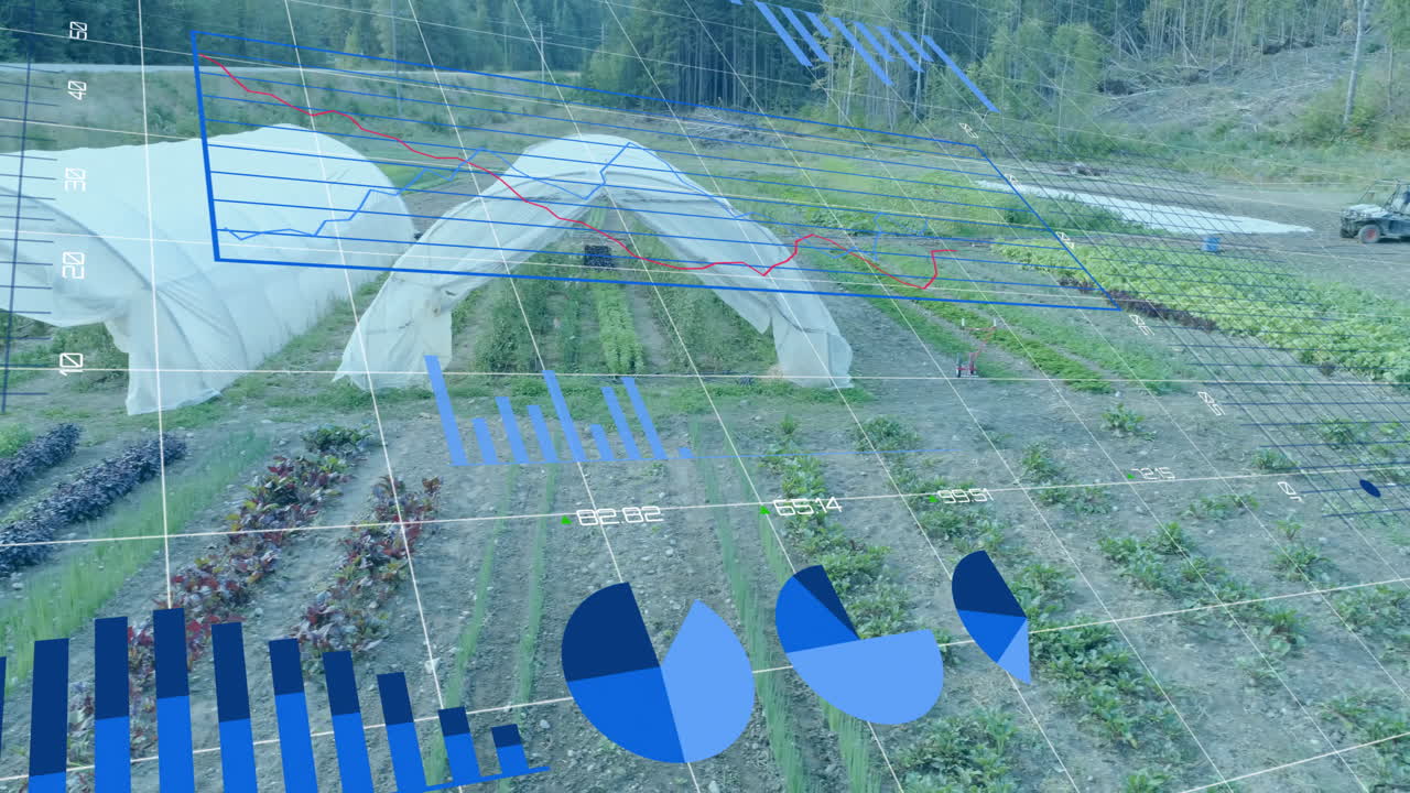 animación del procesamiento de datos financieros sobre el jardín