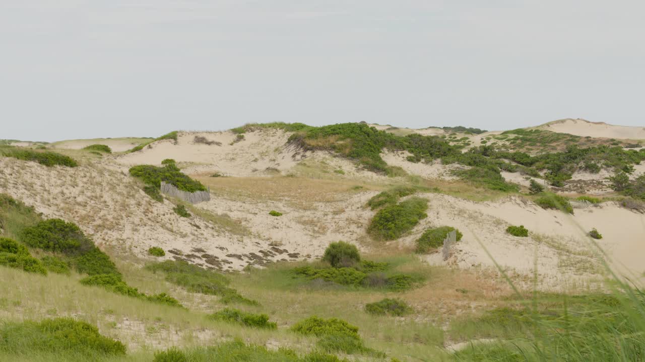 Coastal Sand Dunes with Green Vegetation