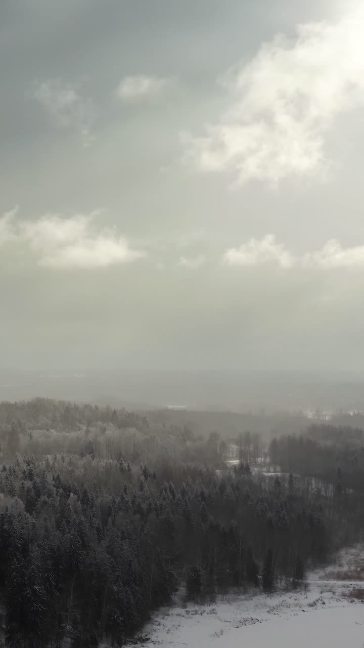 Vertical aerial drone view of a dramatic winter sky with sun rays piercing through clouds over a snow-covered forest in countryside.
