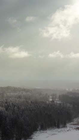 vertical aerial drone view of a dramatic winter sky with sun rays piercing through clouds over a snow-covered forest in countryside.