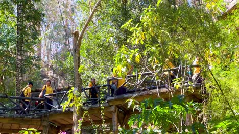 group walking on a bridge in nature