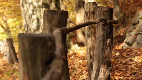 old dilapidated protective fence in autumn, rack focus