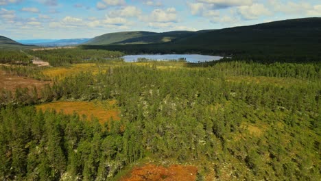 Verdant Trees On A Sunny Day Near Calm Lake With Mountain Views In Salen, Dalarna, Sweden. - aerial