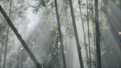 Bosque-De-Bambú-Asiático-Con-Clima-De-Niebla-Matutina