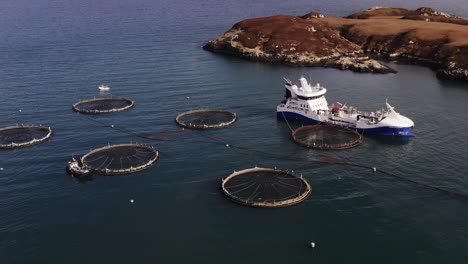 wide, circling drone shot of a fish farm being operated by a fishing boat